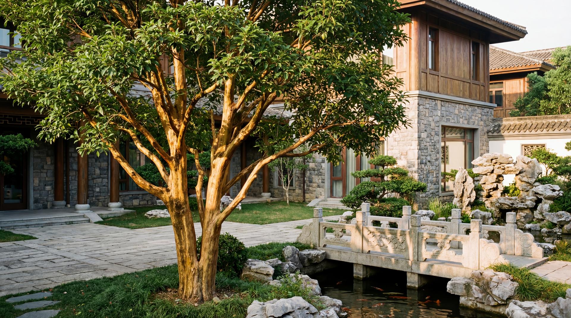 少女萝莉金丝楠木视频